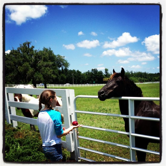 A Visit to Oldfield Plantation